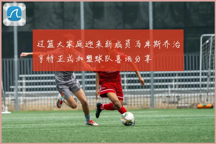 辽篮大家庭迎来新成员马库斯乔治亨特正式加盟球队喜讯分享
