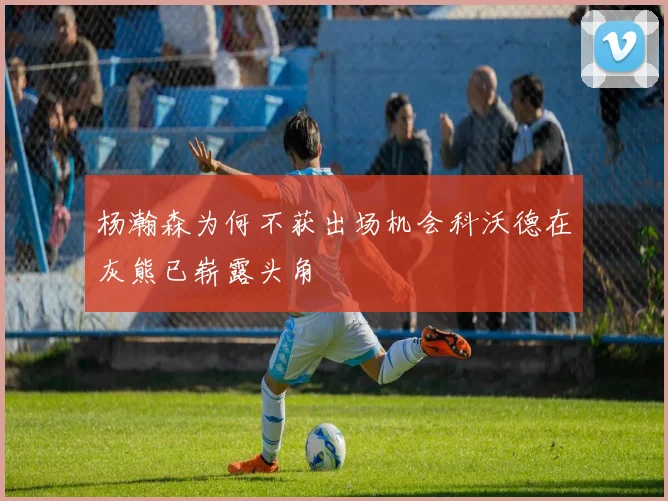 杨瀚森为何不获出场机会科沃德在灰熊已崭露头角