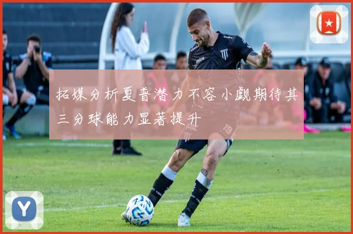 拓媒分析夏普潜力不容小觑期待其三分球能力显著提升